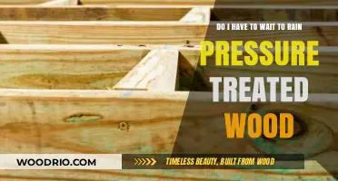 Weathering the Wait: Rain and Pressure-Treated Wood