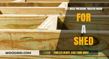 Choosing the Right Wood for Your Shed: Pressure Treated or Not?