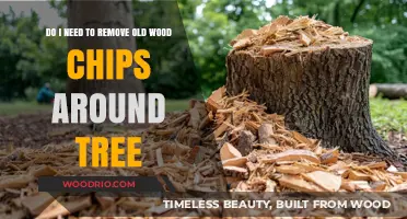 Revitalize Your Tree's Surroundings: A Guide to Managing Old Wood Chips