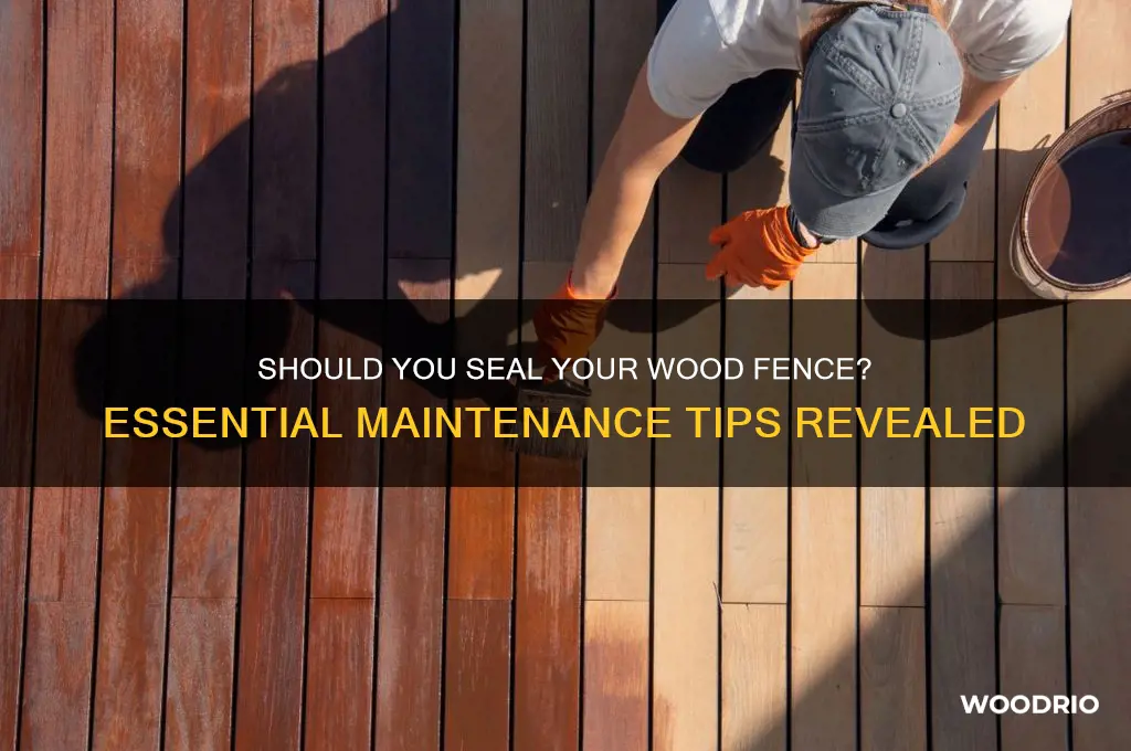 do i need to seal my wood fence