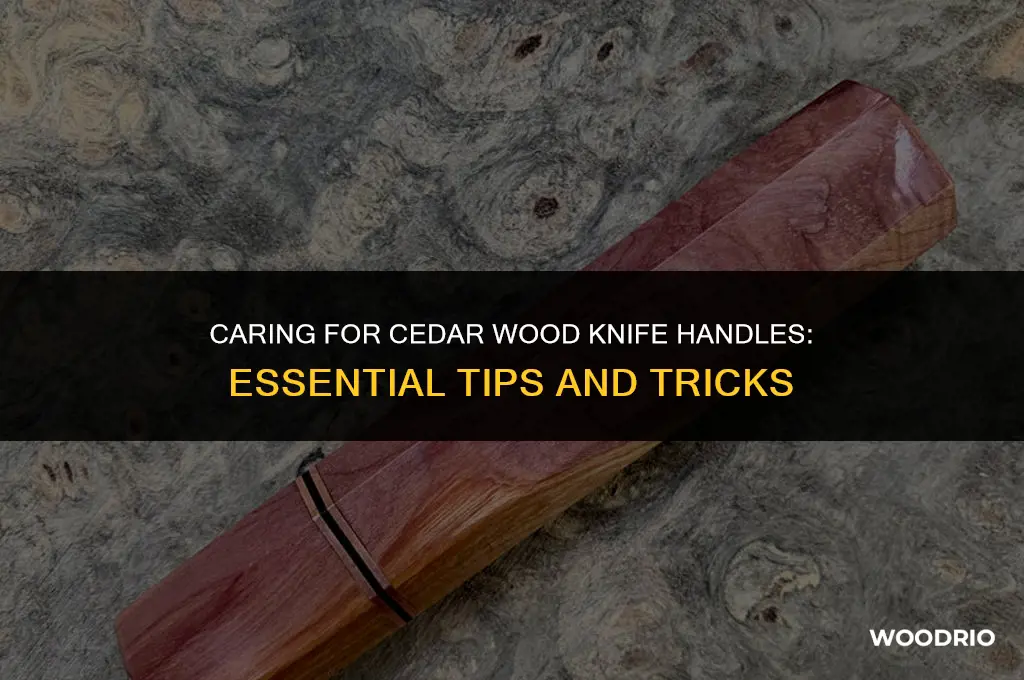 do i need to treat cedar wood knife handles