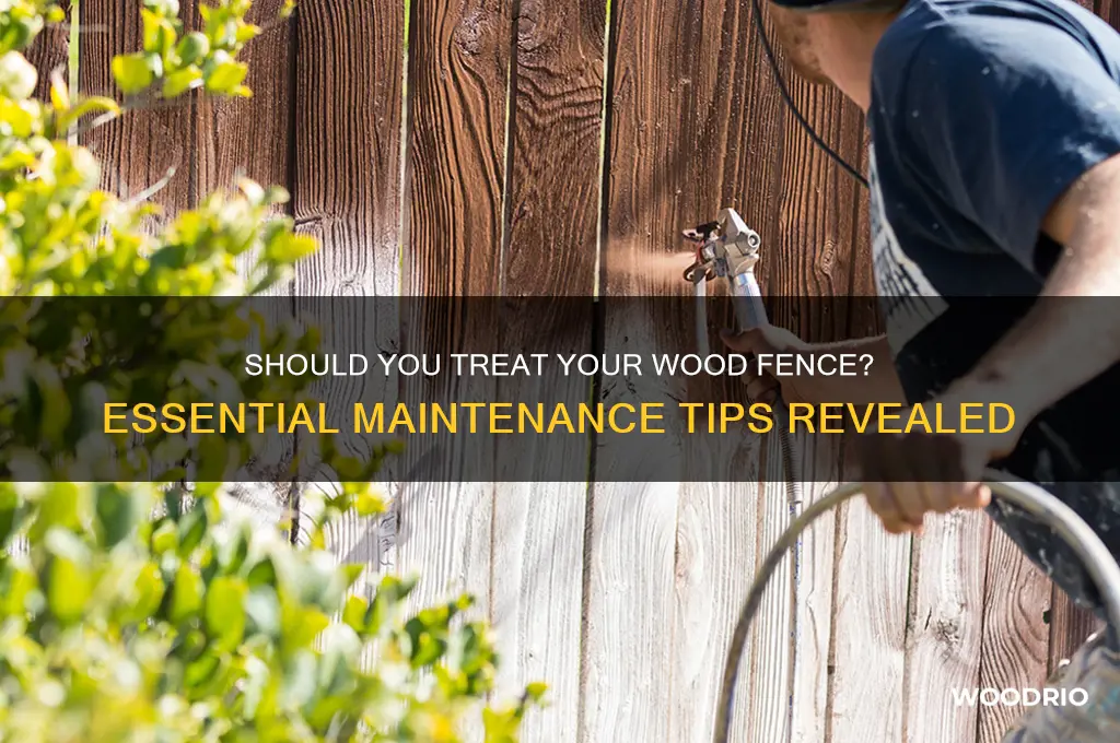 do i need to treat my wood fence
