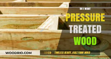 Choosing the Right Wood: Pressure Treated or Not?