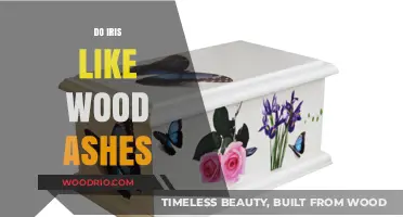 Exploring the Benefits of Wood Ashes for Iris Growth