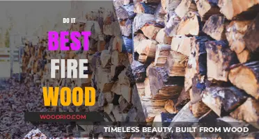 Mastering the Art of Choosing the Perfect Firewood: A Comprehensive Guide