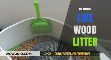 Exploring Kitten Preferences: The Scoop on Wood Litter