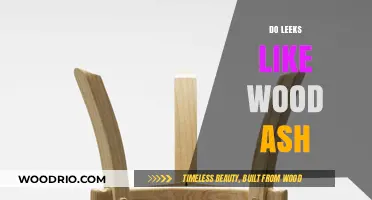 Nurturing Leeks: The Benefits of Wood Ash in Your Garden