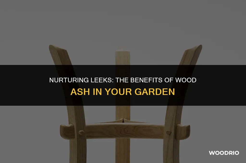 do leeks like wood ash
