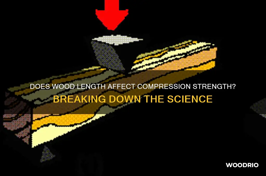 do long pieces of wood break easier under compresison