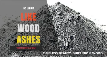 Exploring Lupines' Affinity for Wood Ashes: A Horticultural Insight