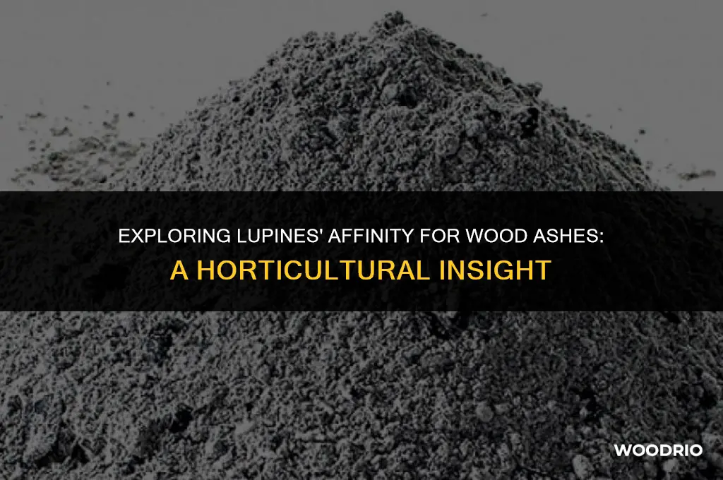 do lupine like wood ashes