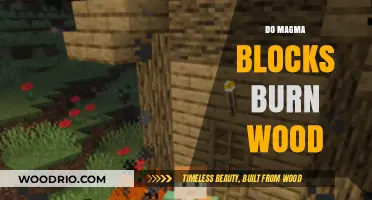 Exploring Minecraft Myths: Do Magma Blocks Really Burn Wood?
