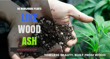 Exploring the Benefits of Wood Ash for Marijuana Plants