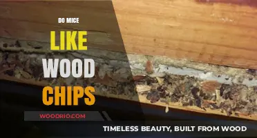 Wood Chips: A Cozy Haven or a No-Go for Mice?