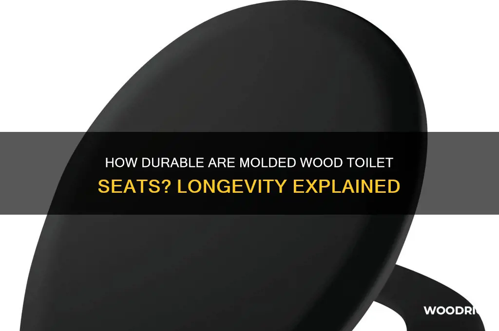 do molded wood toilet seats last a long time