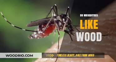 Nature's Tiny Carpenters: Do Mosquitoes Really Like Wood?