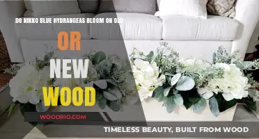 Nikko Blue Hydrangeas: Blooming on Old or New Wood?