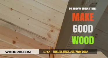 Exploring the Quality of Norway Spruce Wood for Various Uses