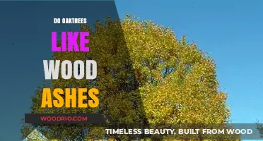 Nurturing Oak Trees: The Benefits of Wood Ashes in Soil Care