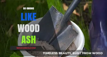 Exploring the Benefits of Wood Ash for Onion Growth