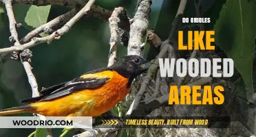 Orioles' Habitat Preferences: A Look into Wooded Areas