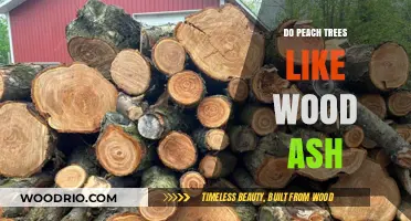 Nourishing Peach Trees: The Benefits of Wood Ash in Gardening