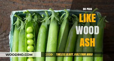 Enriching Soil Naturally: Do Peas Thrive with Wood Ash?
