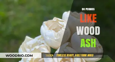 Nurturing Peonies: The Benefits of Wood Ash in Your Garden