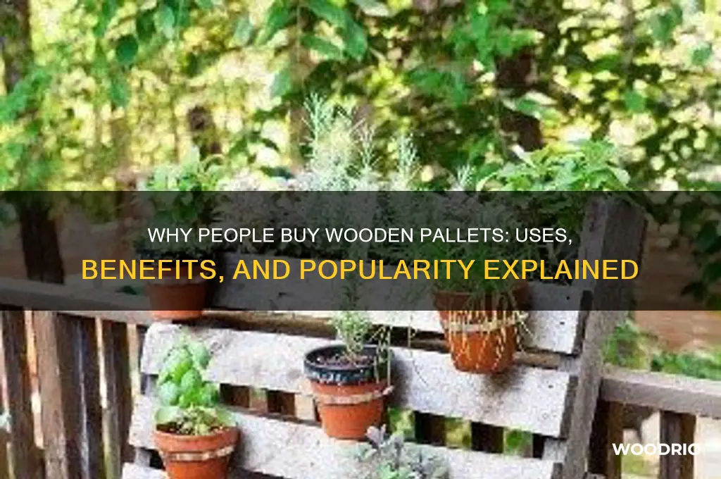 do people buy wooden pallet
