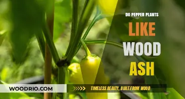 Boosting Pepper Plant Growth: The Benefits of Wood Ash