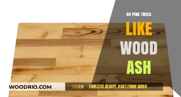 Nourishing Nature: The Benefits of Wood Ash for Pine Trees