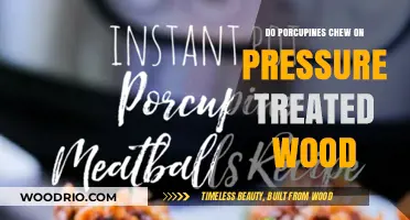 Porcupine Predicament: Do They Really Chew on Pressure Treated Wood?