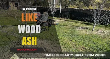 Enriching Soil with Wood Ash: A Potato's Perspective