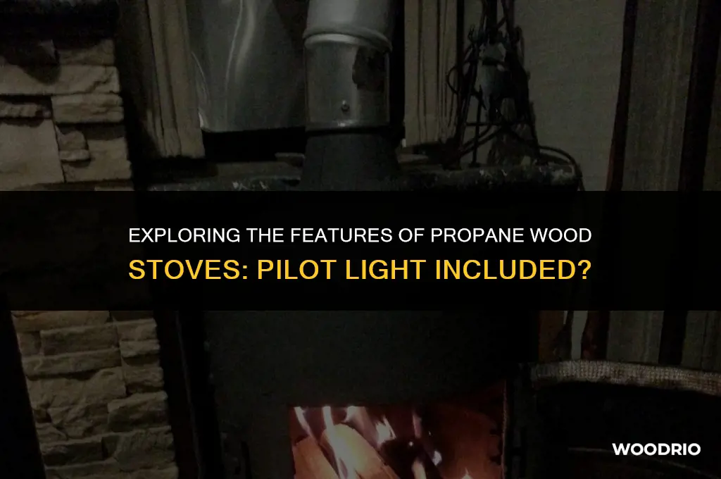 do propane wood stoves have a pilot light