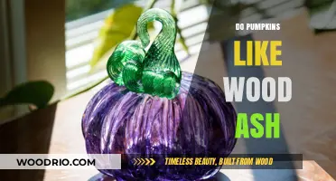 Exploring the Benefits of Wood Ash for Pumpkin Growth