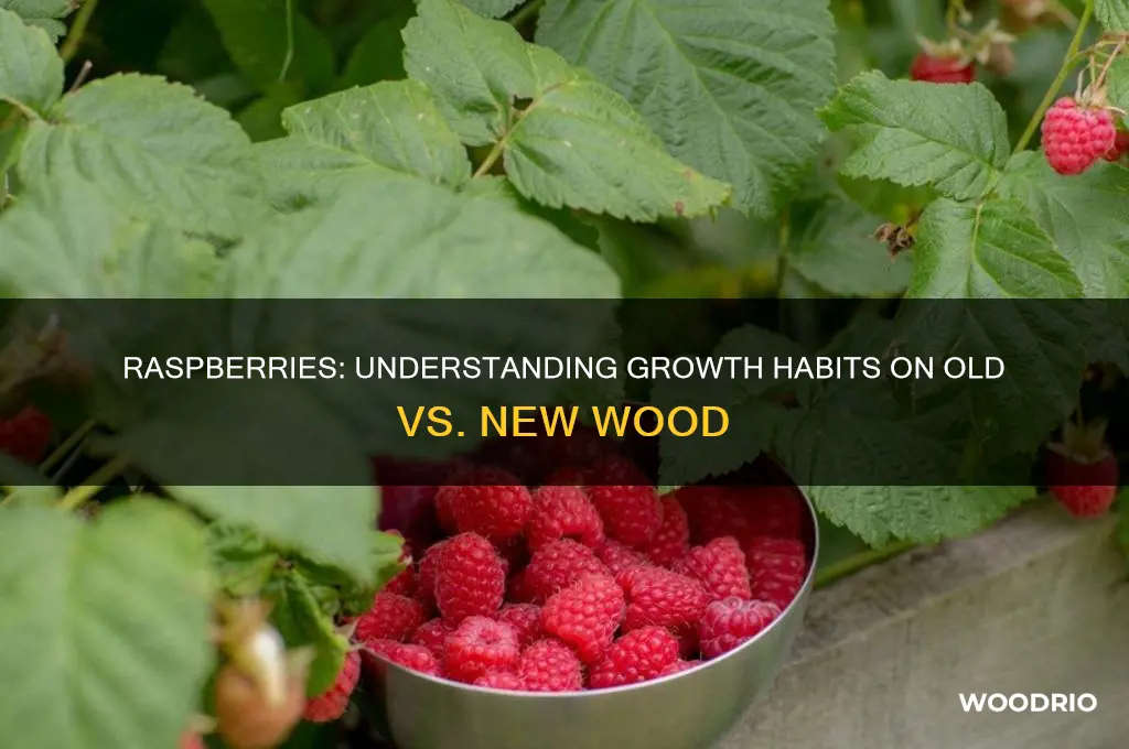 do raspberries grow on old or new wood