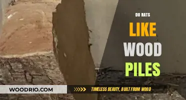 Do Rats Like Wood Piles? An Insight into Rodent Behavior