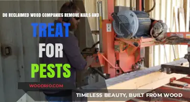 Behind the Scenes: Reclaimed Wood's Journey from Salvage to Safety