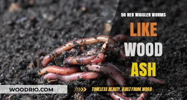 Wood Ash Wonders: A Red Wiggler Worm's Delight?