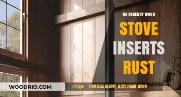 Combating Rust: A Guide to Maintaining Your Regency Wood Stove Insert