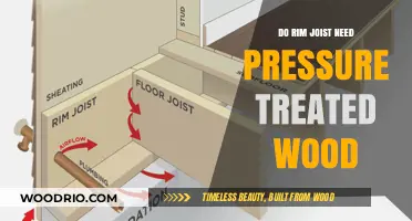 Rim Joist Construction: Pressure-Treated Wood Necessary or Not?