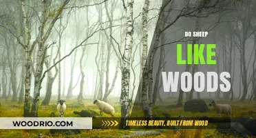 Exploring the Preferences of Sheep: A Likelihood of Woods