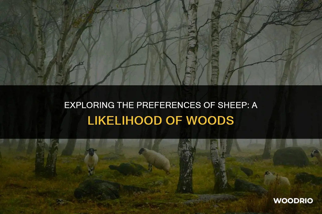 do sheep like woods