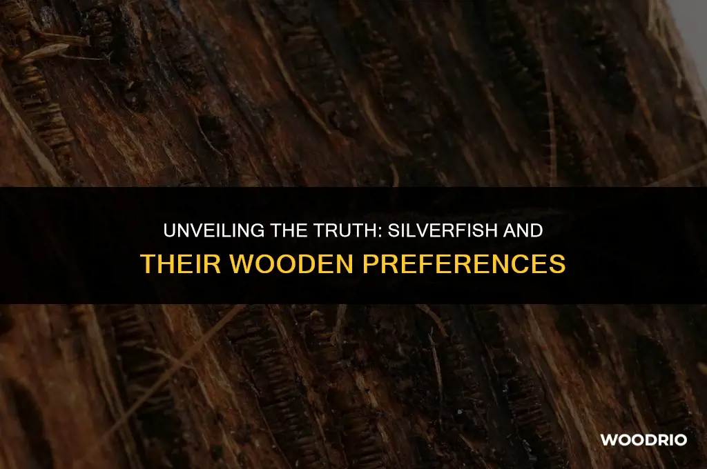 do silverfish like wood