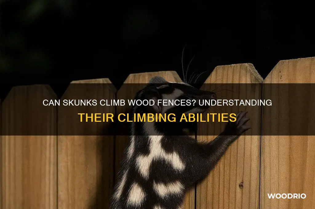 do skunks climb wood fences