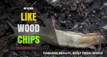 Do Slugs Like Wood Chips: A Surprising Answer