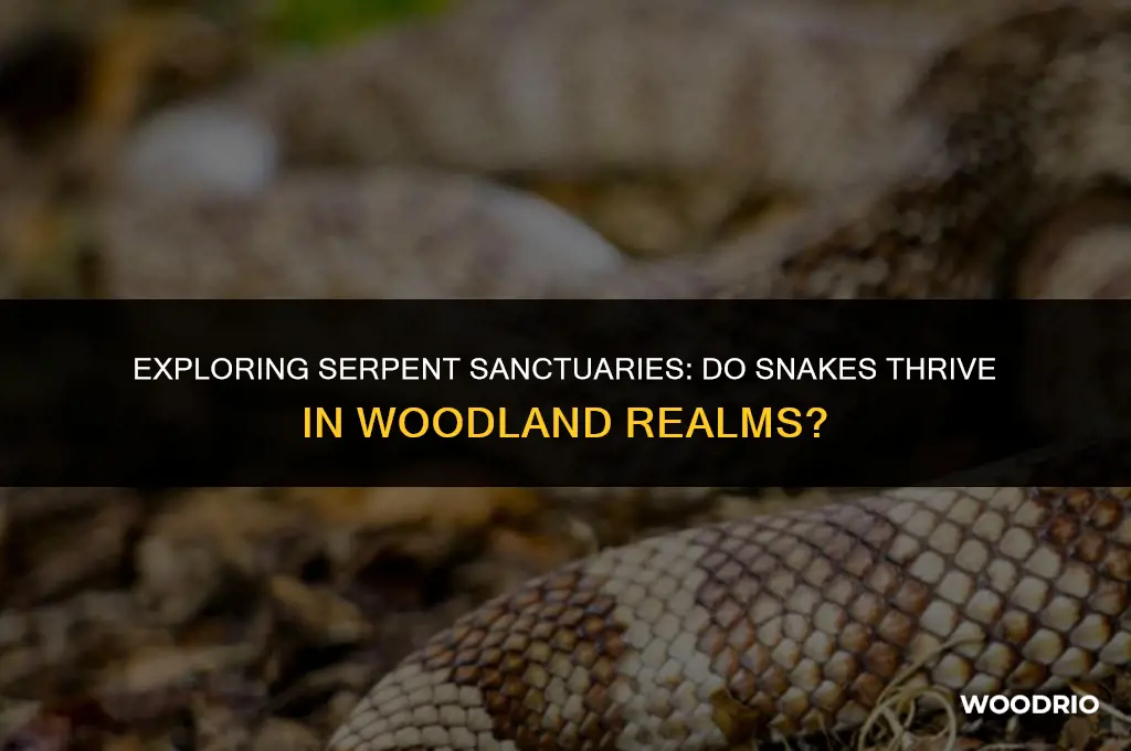 do snakes like to live in the woods