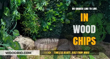 Wood Chips Wonderland: A Snake's Preferred Habitat?