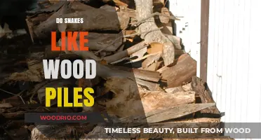 Exploring the Myth: Do Snakes Really Like Wood Piles?