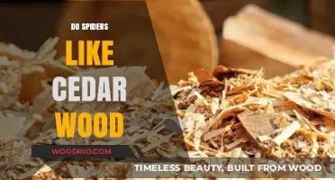 Exploring Spider Preferences: Do They Like Cedar Wood?